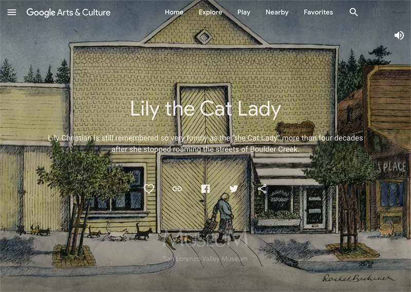 The story of Lily the Cat Lady